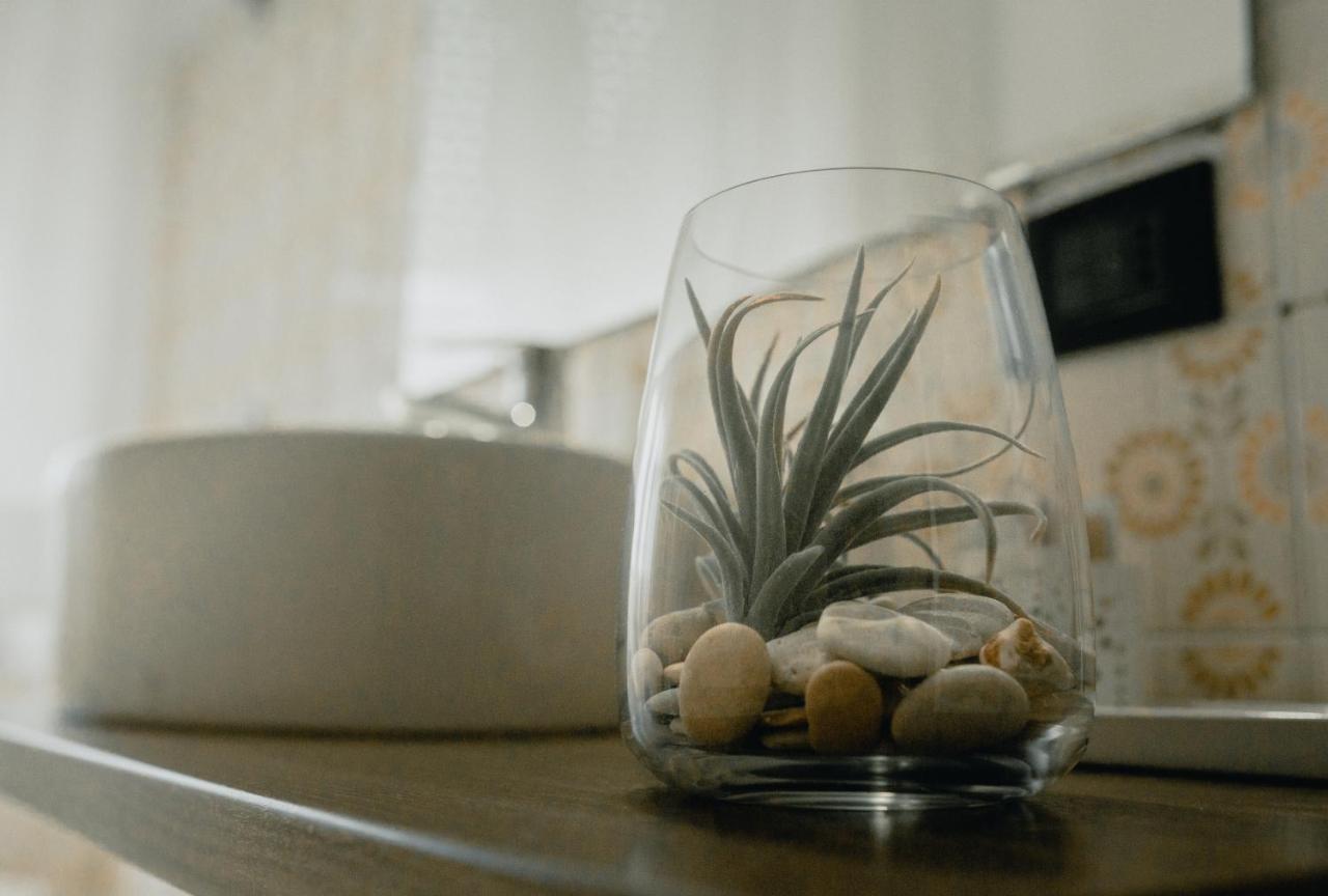La Casa Di Adua Bed & Breakfast ปอร์โต ซันเตลปีดิโอ ภายนอก รูปภาพ